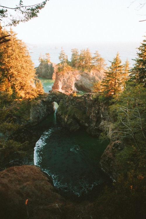 thecraziethewizard: Brookings, Oregon by Jeremiah Probodanu (IG: @thecraziethewizard)