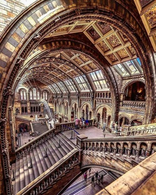 (via Natural History Museum, London [720 x 900] : ArchitecturePorn)