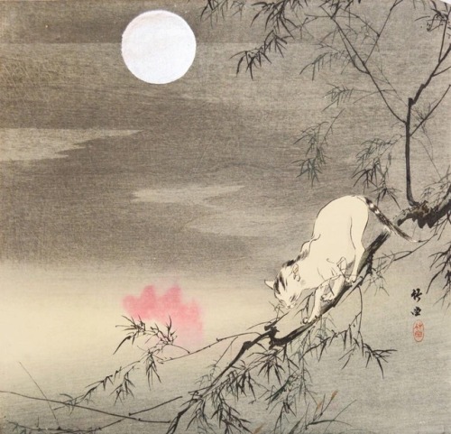 wonderlartcafe:Kishi Chikudo竹堂 岸 (1826 - 1897), Cat on a tree branch, under the silver Moon, 1880