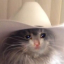 beachedcowboy