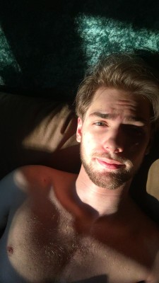 fluffingston:felt like time for a new pfp