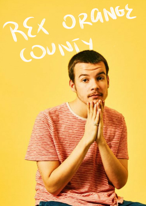 a little Rex Orange County edit #rex orange county #my edit#typography#sunflower #i love his voice #apricot princess