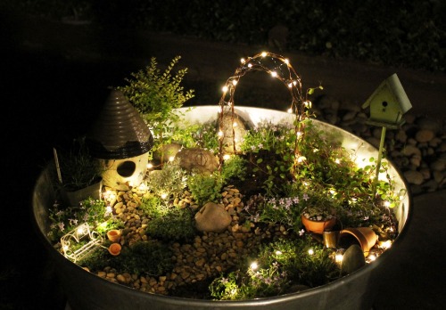 albinohare:  Amazing fairy garden with lights from A Cuppa Tea! ♥__♥ 