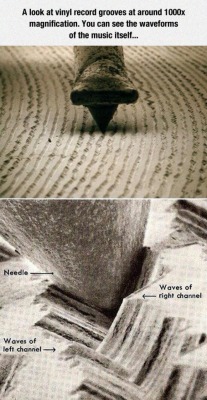 trumpetangst:  lolshtus:  The Waveform Of