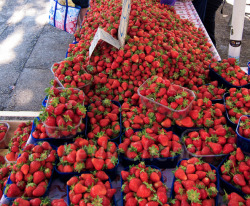 coc-o:  teenshealthandfitness:  Love strawberries!  who doesnt