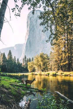 lsleofskye: Yosemite Valley | zeppaio