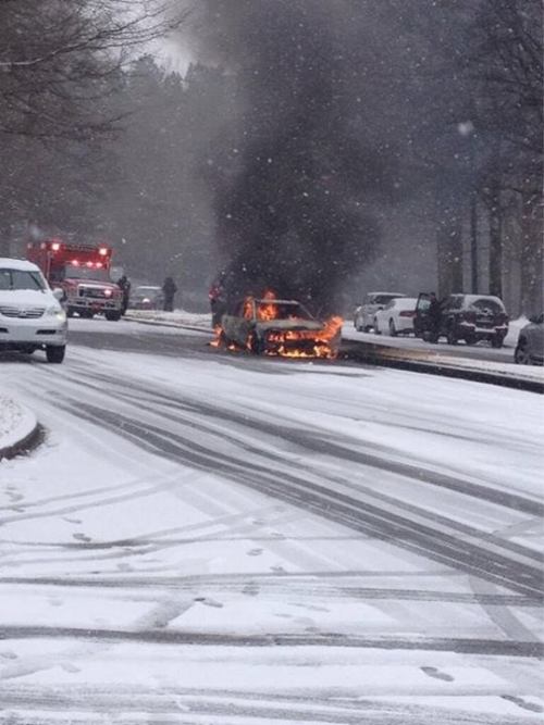 askexquisitetwi:  darklyspectre:  facade-the-slacker:  Alabama right now during this huge snow storm.  This is what we are currently going through right now.  holy shit.  No offense but don’t you guys have winter tires? I have driven through more