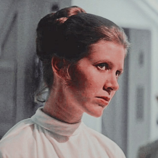 leia icons on tumblr leia icons on tumblr