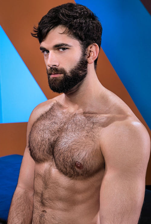 favhairydudes: (via TumbleOn)