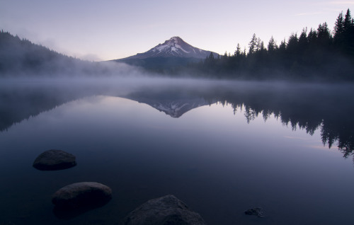 Early Rise by Gwendolyn Allsop