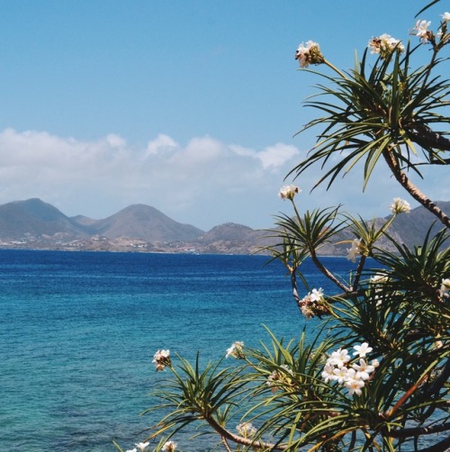 Île Tintamarre, Saint Martin