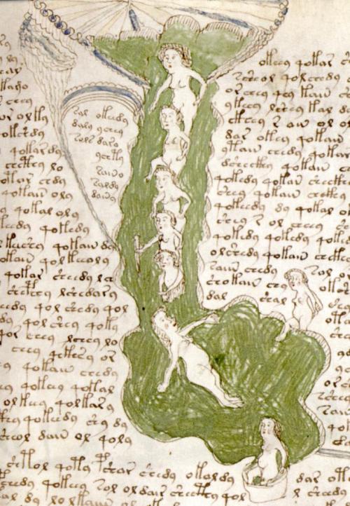 moon-medicine: The Voynich Manuscript is a mysterious text, written in an unknown language and fille