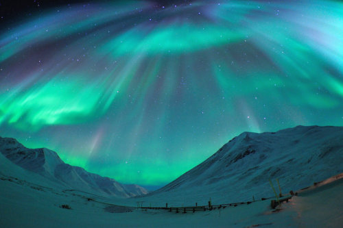 magicalnaturetour:  Symphony of the Lights by porbital 