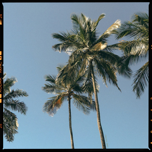 pureangeles:‘Praia Vermelha’ Rio de Janeiro, 2017 by Charesa Chote