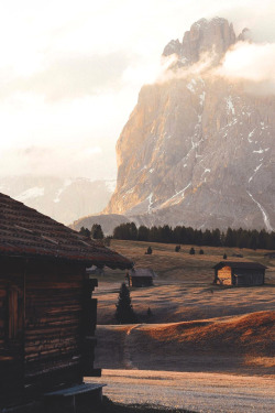 lsleofskye:  golden light | cameraismyeye