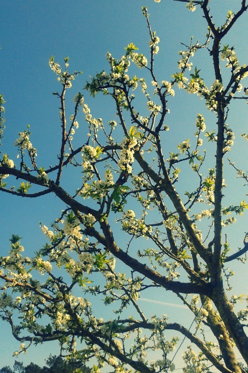  nice days taken by me 
