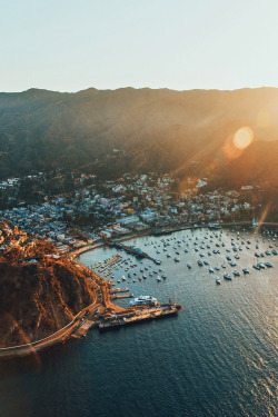 souhailbog:  Catalina By   Kyle KuiperÂ |