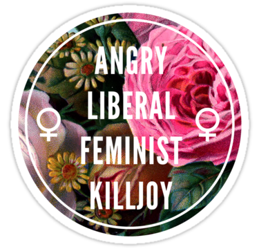 you-see-emily:  GIVEAWAY : 6 fucking cool feminist stickers -reblog as much as you