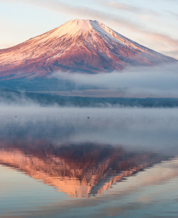 akumuotamu:  2016 Winter Fuji by shinichiro*