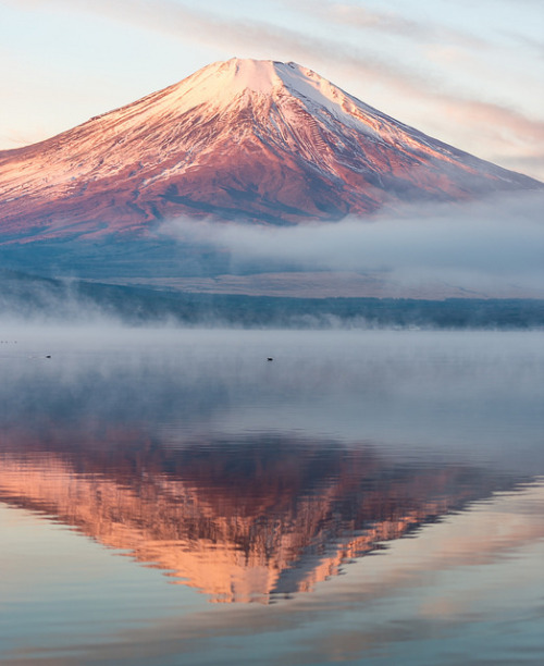 akumuotamu:  2016 Winter Fuji by shinichiro* on Flickr.
