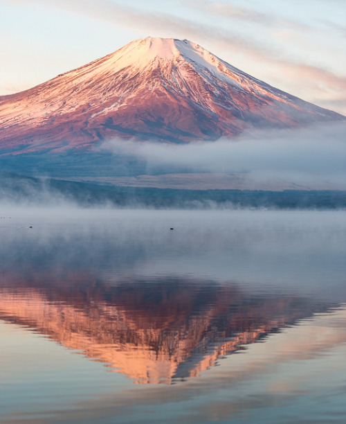 Porn akumuotamu:  2016 Winter Fuji by shinichiro* photos