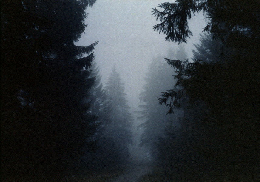 brutalgeneration:  (by .sxf)