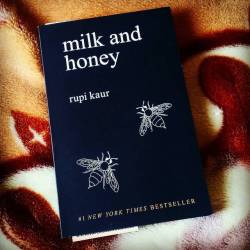 Finally got my hands on this amazing book. 💕📚🐝🌻🍯☉☮ #book #books #bookworm #bookstagram #booksofinstagram #bibliophile #rupikaur #milkandhoney #bookporn #literature #newfave #amazing #qualitycontent #poetry #poems #poetrybook