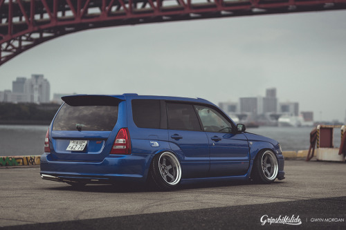timetochaing:    ♡ FORESTER ♡