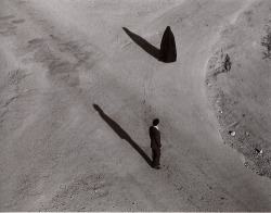 picaet:shirin neshat