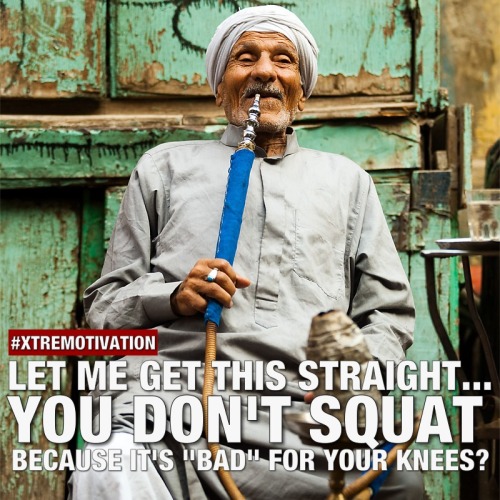 xtremotivation:  Xtremotivation memes packs for your tumblr or iG pages ! Share the motivation! 