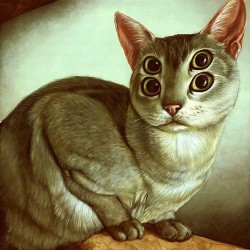 supersonicelectronic:   Casey Weldon. Cats by Casey Weldon: Read More