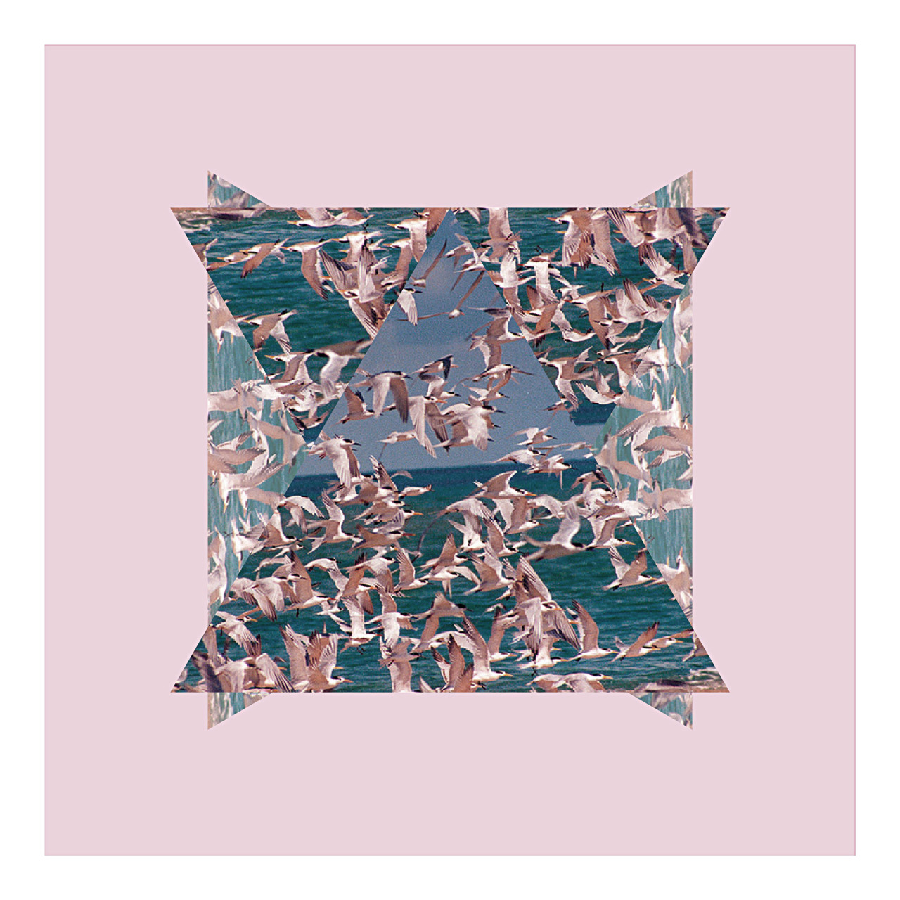 theonlystefers:  Tri by me 