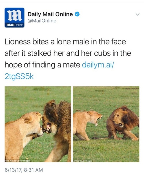 weavemama: lioness you’re doing amazing porn pictures
