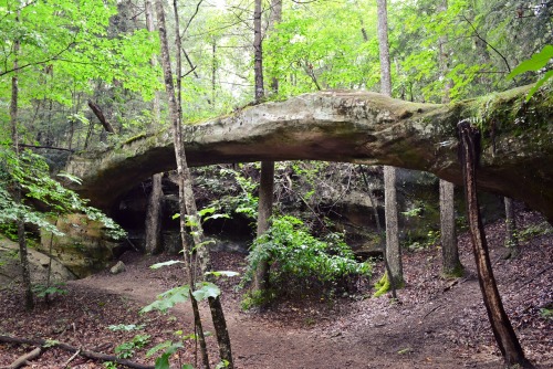 Slave Falls and Needle Arch near Oneida, TN