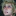 kn0pa:  sometimes i’m just having bad days but then i remember that prompto is capable of making questionable sounds like this 