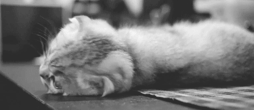 MIAW