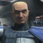 captainrexwife
