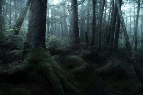 North Yatsugatake mountains / Nagano Prefecture by Seiuchi F