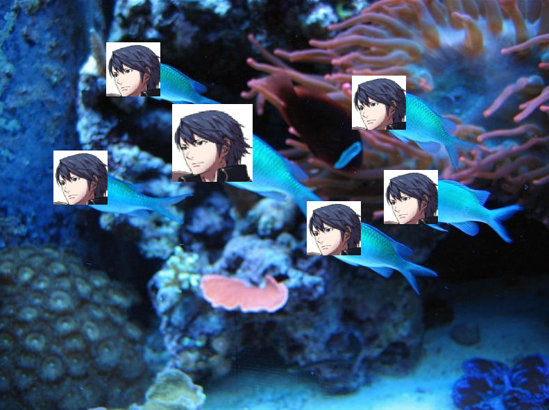 indigoidiot:  WHen i discovered the rare elusive chromis fish i went to town with