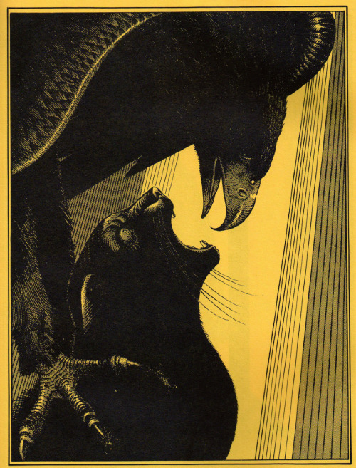 caninodeoiro:  fer1972:  Moebius  