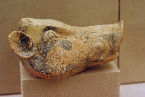 Painted clay rhyton in the shape of a boar’s head.  Mature Late Cycladic I, ca. 1700-1600 BCE.  Now 