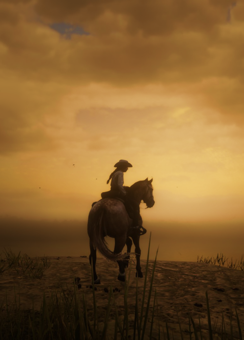 RDO shenanigans with Cassidy Moses and pretty scenery#SaveRedDeadOnline