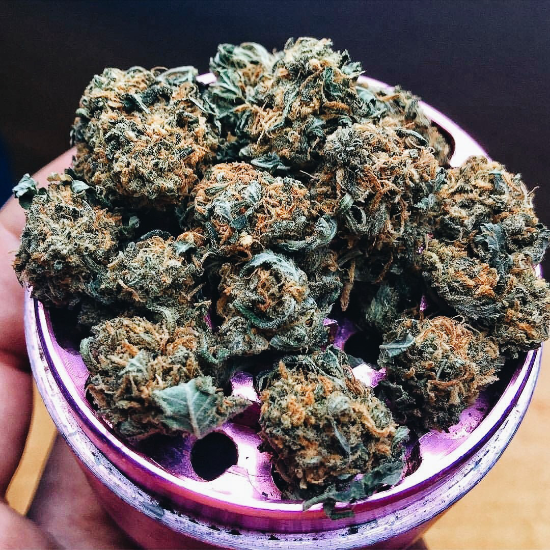 kushbay:4 2 0
