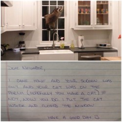 rumorsincolor:thebest-memes:  And now there is a raccoon in my house…  I am truly laughing so hard at this right now