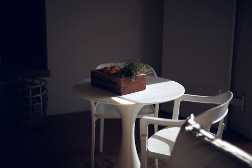 Table in the sunlight, Babylonstoren.