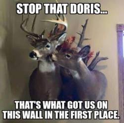 shotgun73: Lol  😂😂 damnit Doris!