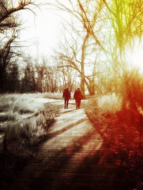 Cause When Your Dreams Come True, They Pretty Soon Decay On Flickr.