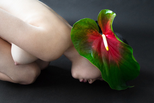 XXX asylum-art:  Torkil Gudnason: Body Vase Agency photo