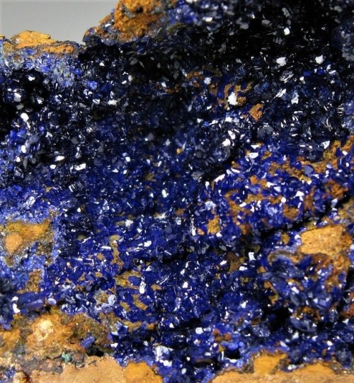 Azurite on matrix - Mount Chalmers Mine, Rockhampton, Rockhampton Region, Queensland, Australia