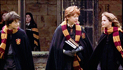  “It is our choices, Harry, that show what we truly are, far more than our abilities.”       